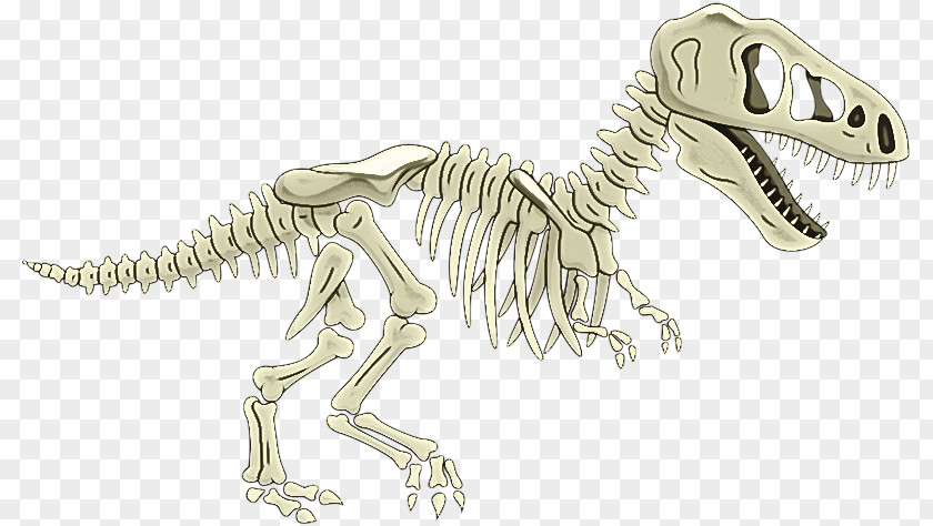 Tyrannosaurus Velociraptor Line Art Skeleton Meter PNG
