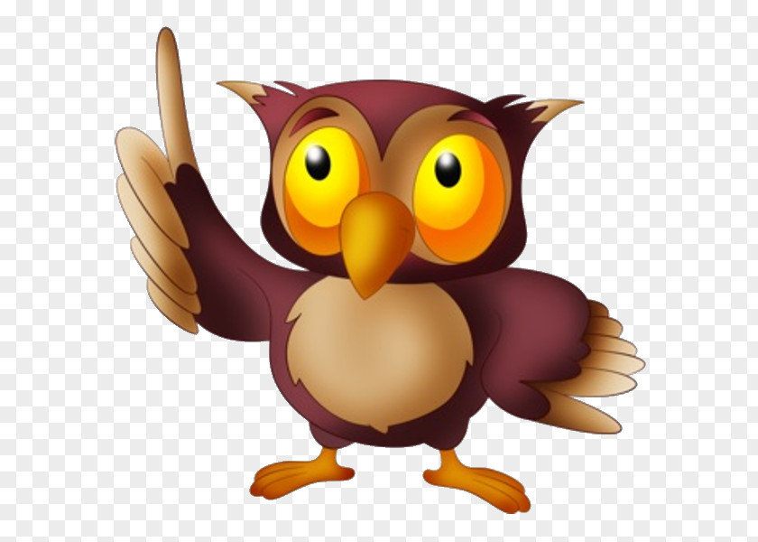 Cartoon Cute Owl Vector Material Free Download Friend Bird Clip Art PNG
