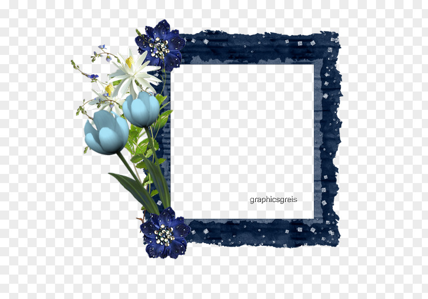 Cornice Blu Picture Frames Rectangle Flower Brown Eye PNG
