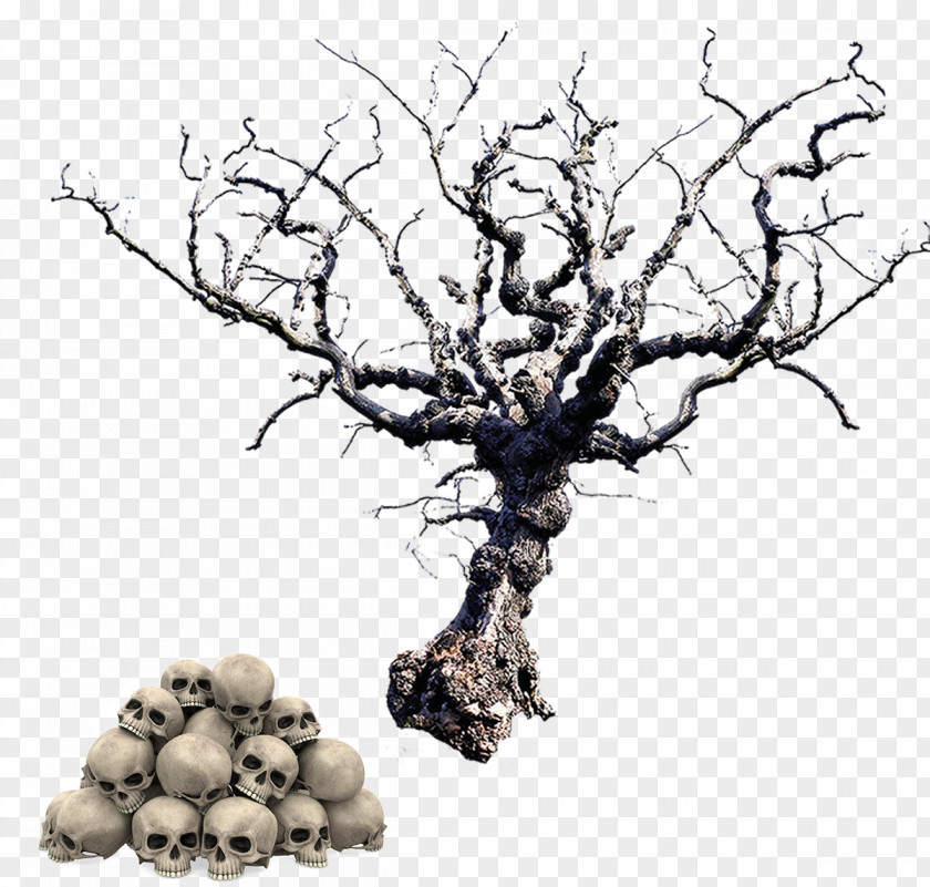Halloween Skeleton Tree Trunk PNG
