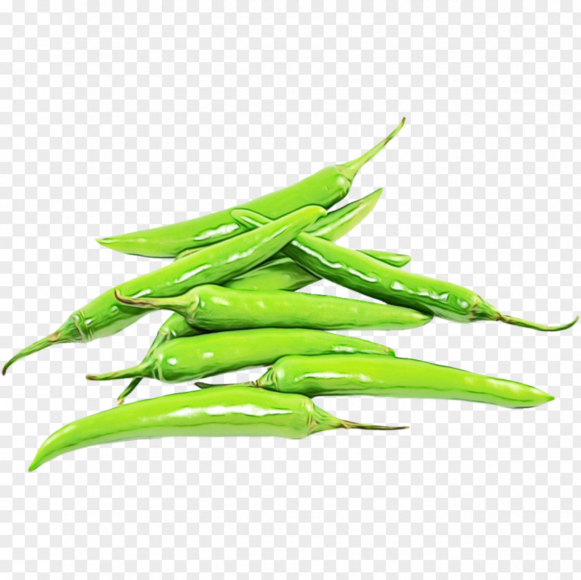 Malagueta Pepper Green Bean Eye Cartoon PNG