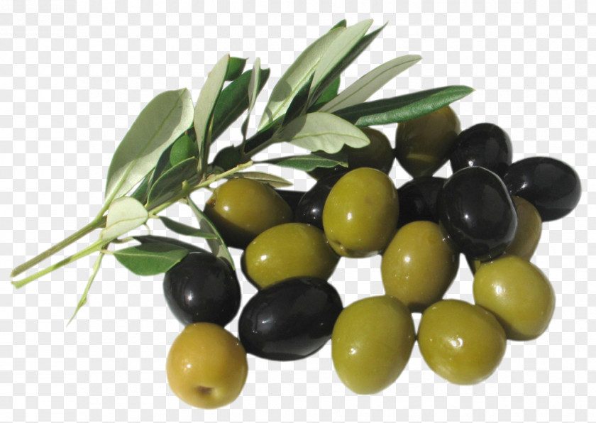 Olives Italian Cuisine Greek Mediterranean Lebanese Olive PNG
