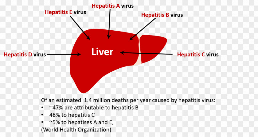 Viral Hepatitis A C D PNG