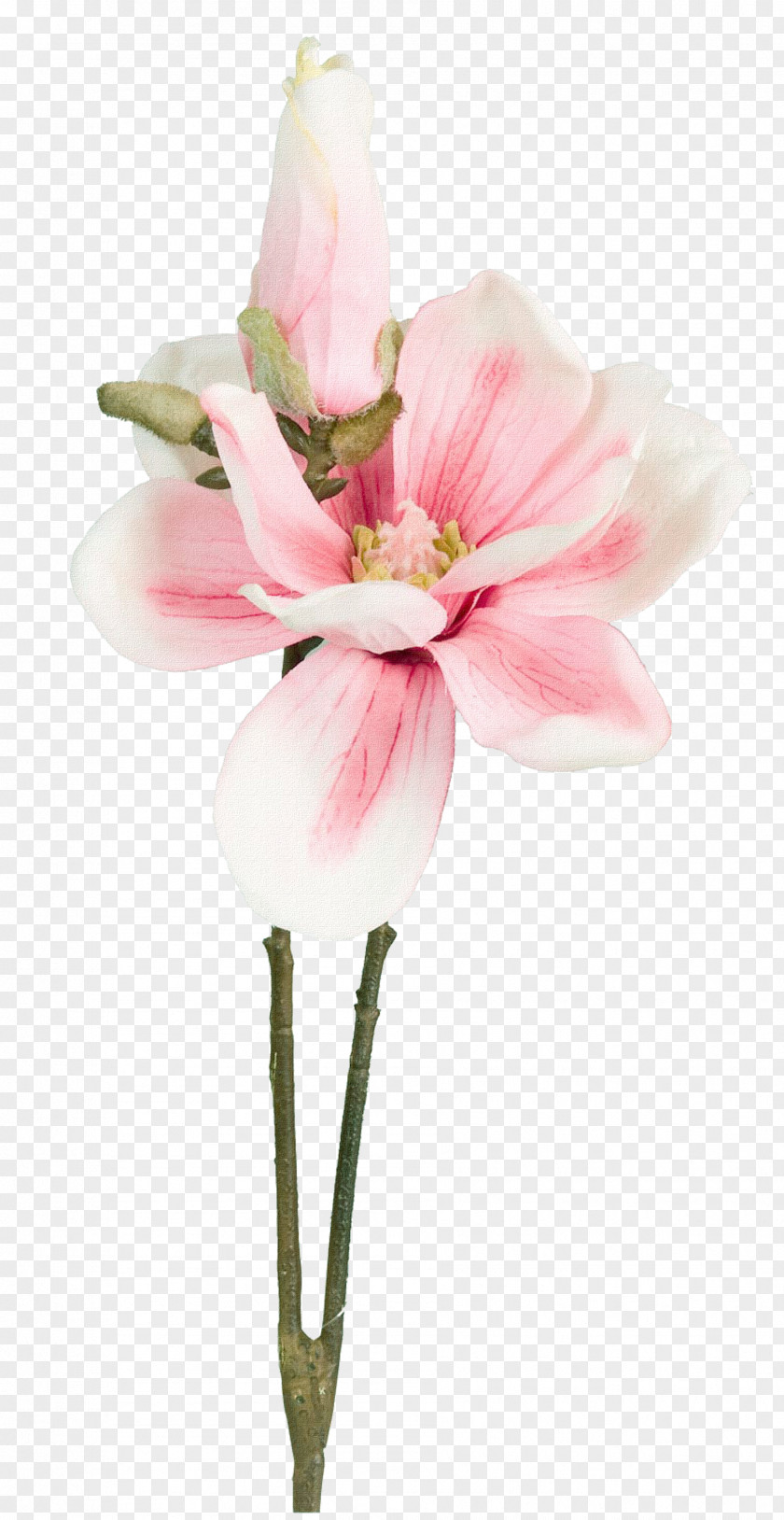 Creative Bouquet Of Flowers Frame,Beautiful Pink Petals Flower Petal PNG