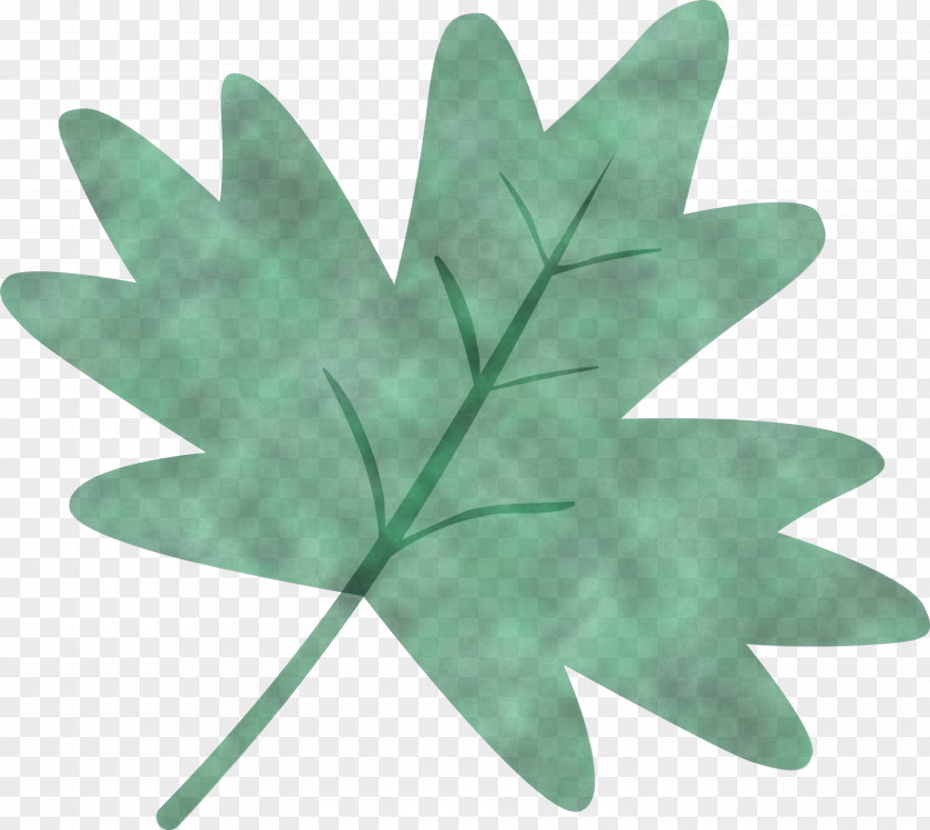 Maple Leaf PNG