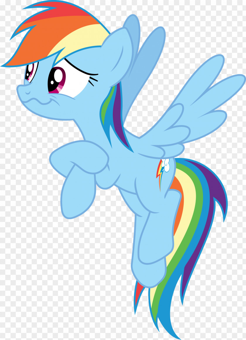 Rainbow Dash My Little Pony Horse PNG