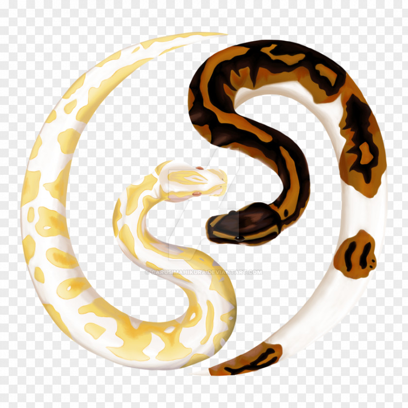 Snake Ball Python Reptile Pet Burmese PNG