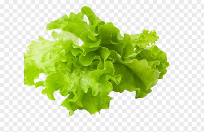 Vegetable Food Salad PNG