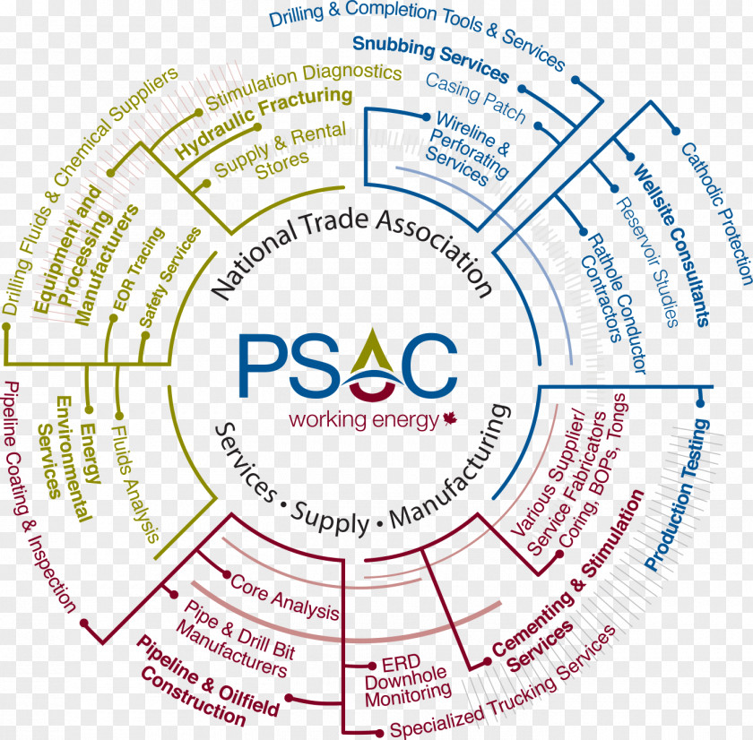 Board Of Directors Chart Starbucks Organization Pennsylvania State Athletic Conference Brand Font Point PNG