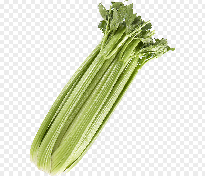 Celery Leaf Vegetable Vegetarian Cuisine PNG