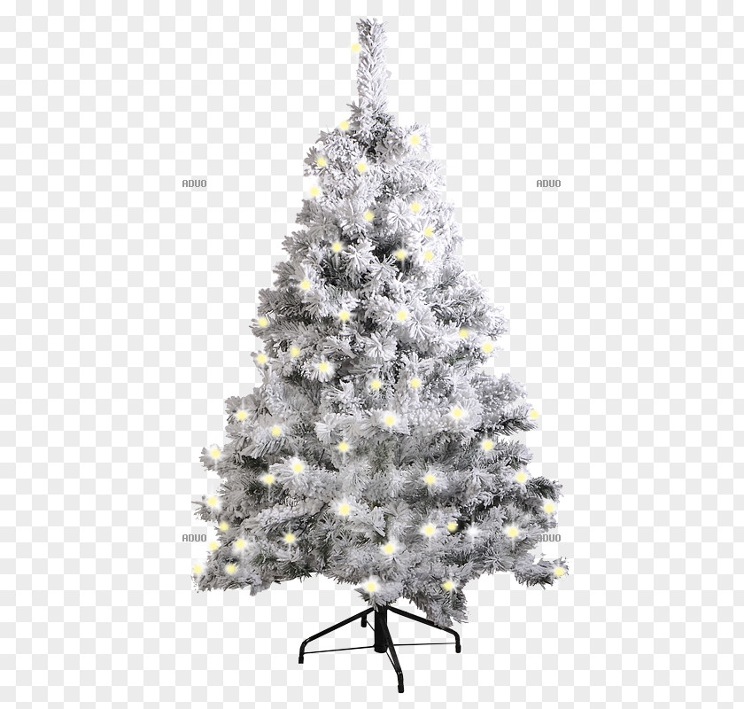 Christmas Tree Spruce Fir Ornament Pine PNG