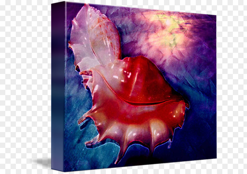 Painting Cephalopod Acrylic Paint Biology PNG