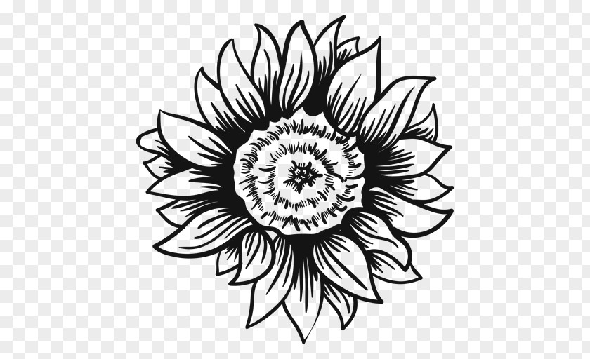 Sunflower Vector Drawing Clip Art Image Illustration Vexel PNG