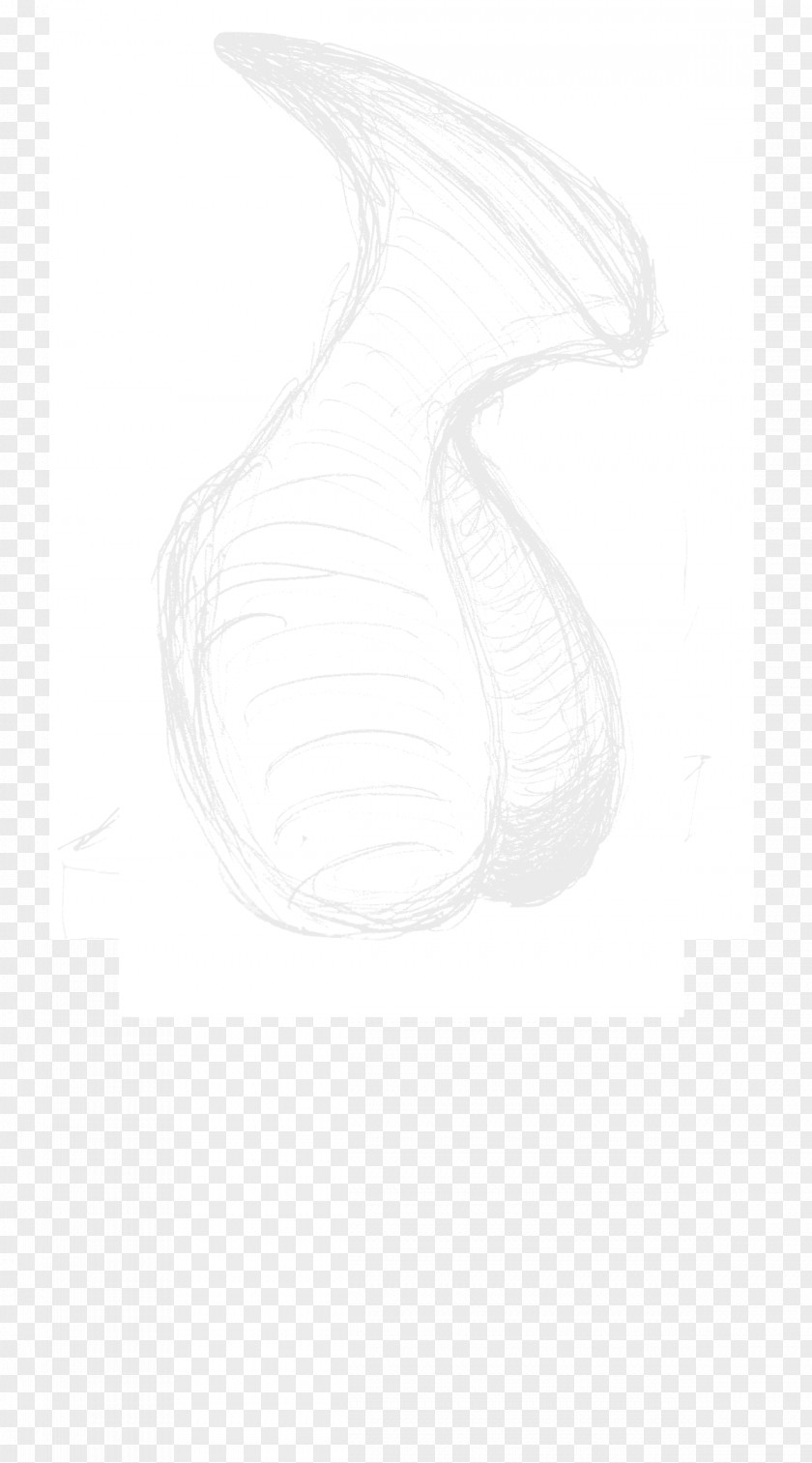 Line Drawing White Sketch PNG