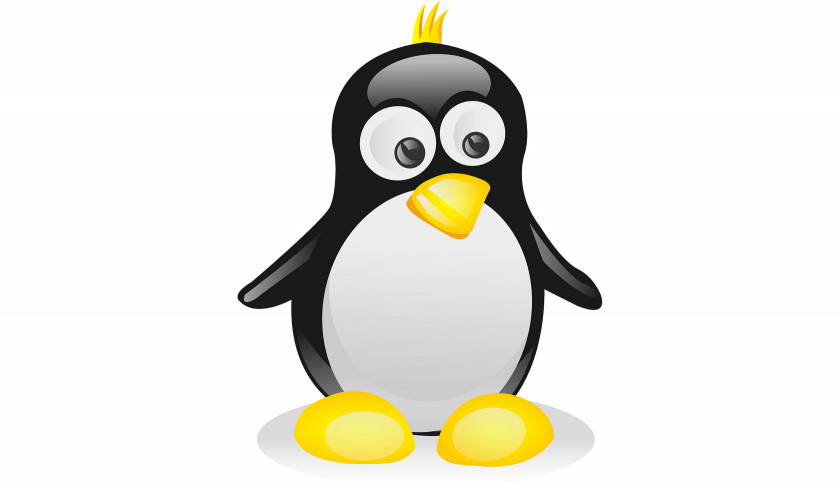 Linux Penguin Clip Art PNG