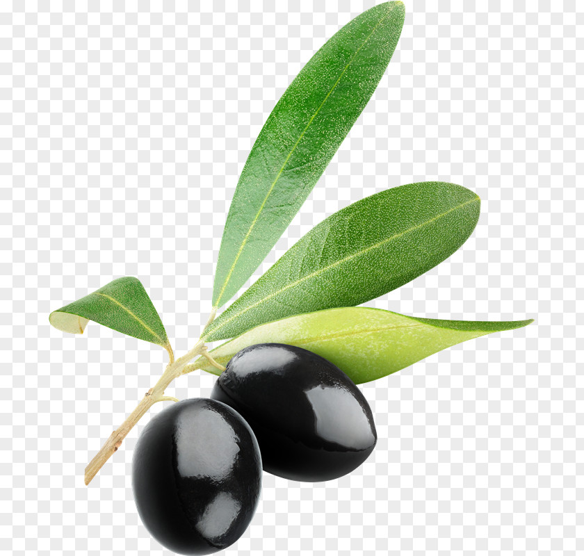 Lu Clip Art Kalamata Olive Image Openclipart PNG