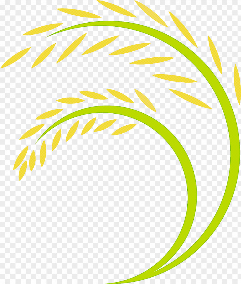 Plant Yellow Green Grass Background PNG