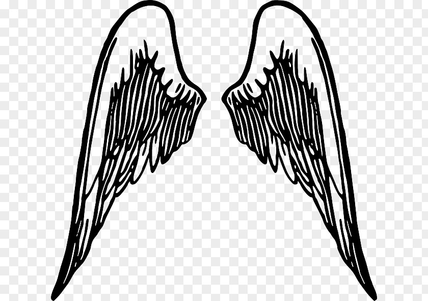 Airplane Symbol Angle Wing Clip Art Transparency Angel Drawing PNG