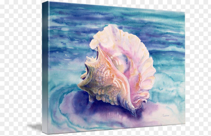 Conch Queen Watercolor Painting Seashell PNG