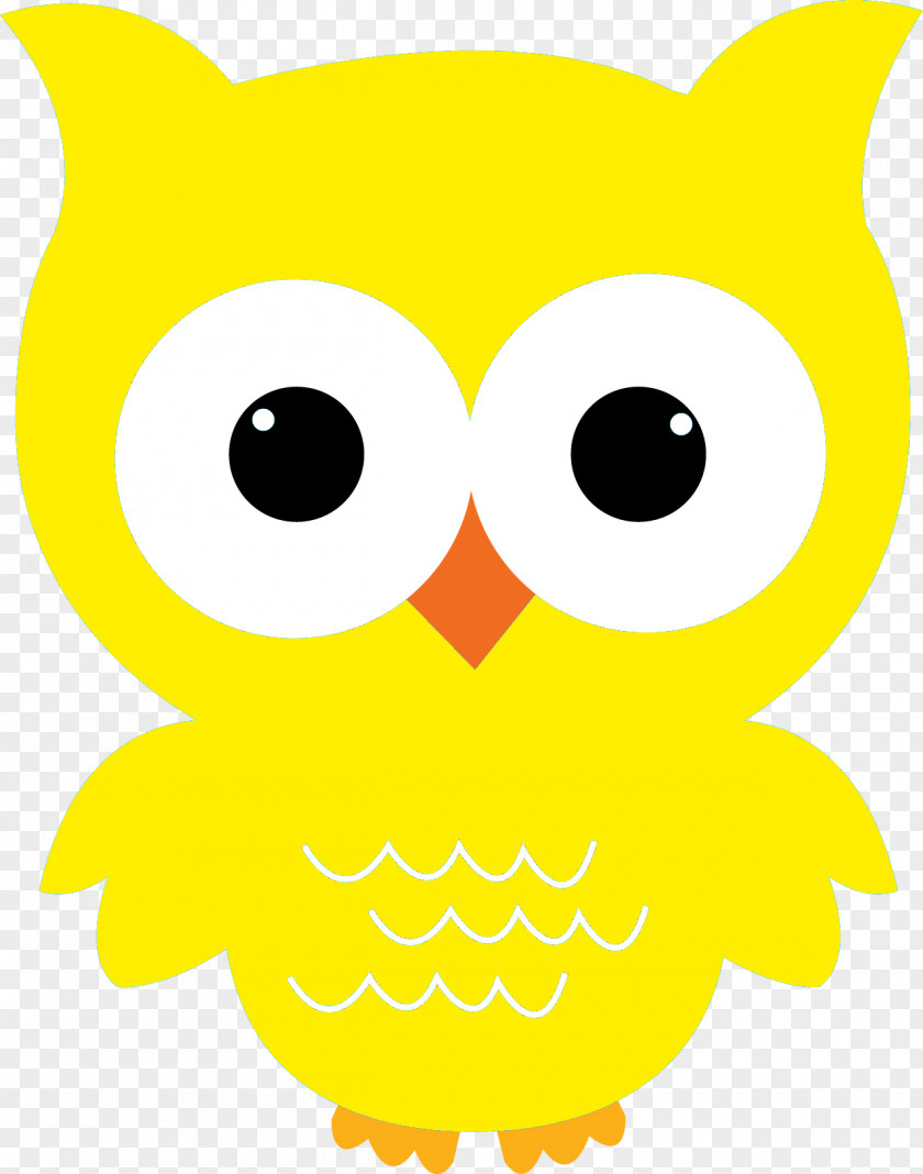 Owl Clip Art Image Drawing Vector Graphics PNG