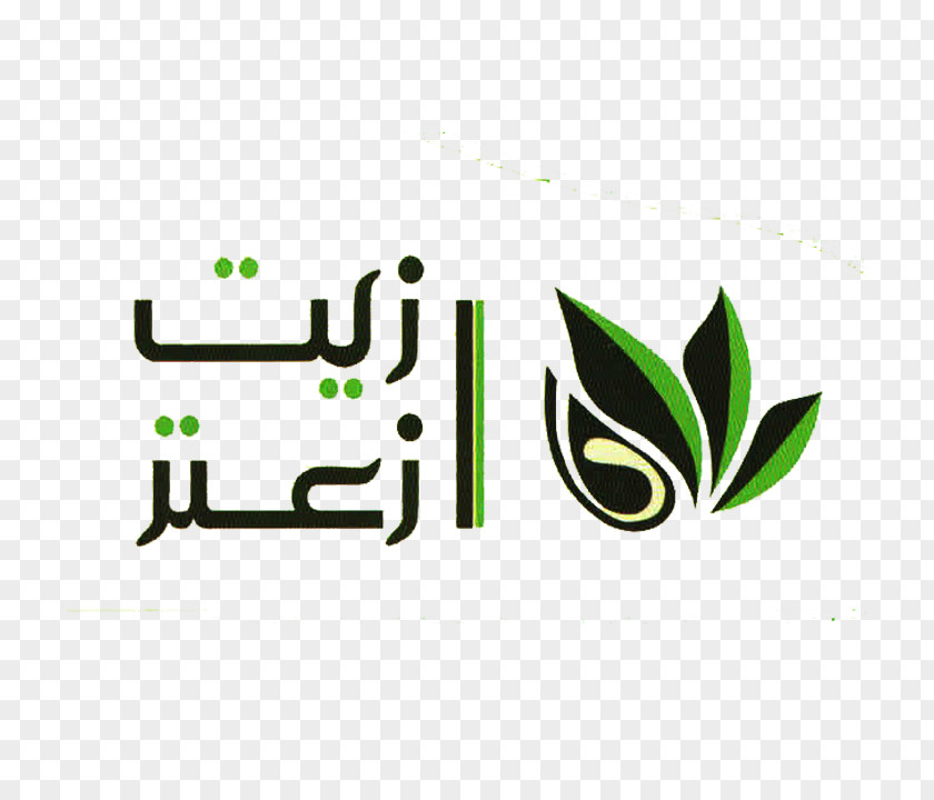 Plant Leaf Address Logo PNG