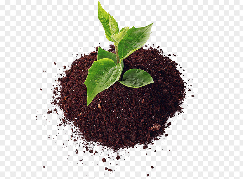 SOIL Soil Agriculture Fertilisers Pesticide Organic Farming PNG