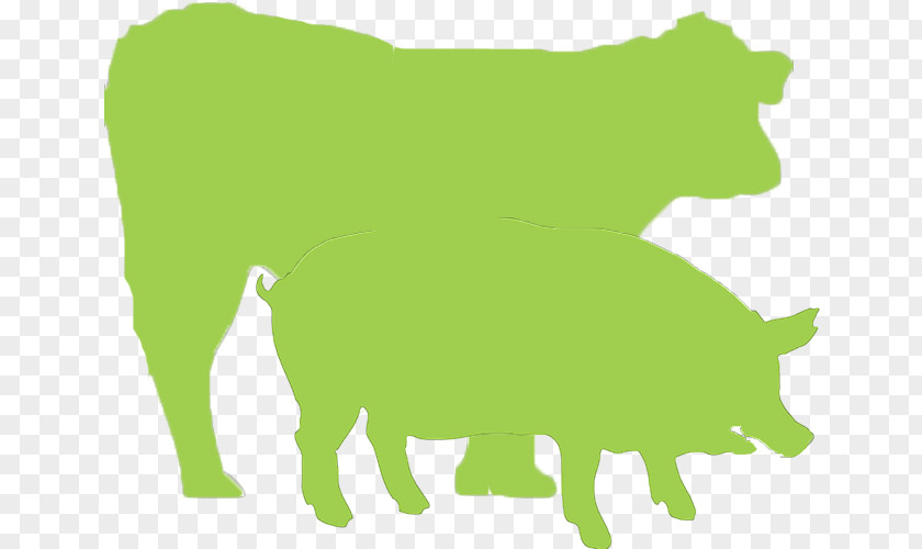 Animales Destinados Al Consumo Cattle Colegio Oficial De Veterinarios Toledo Pig Veterinary Medicine Sheep PNG