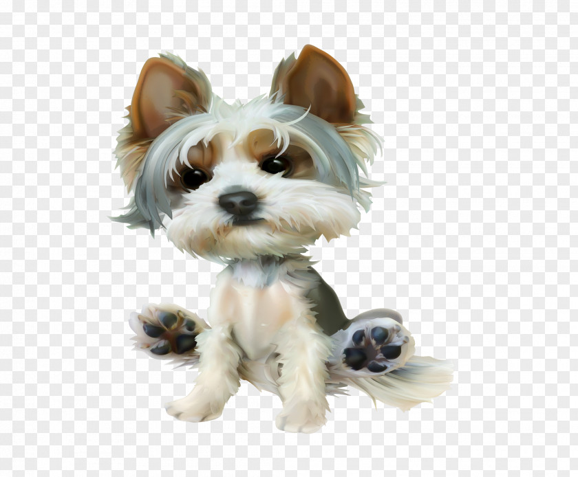 Big Dog Yorkshire Terrier Puppy Morkie Vector Graphics Image PNG