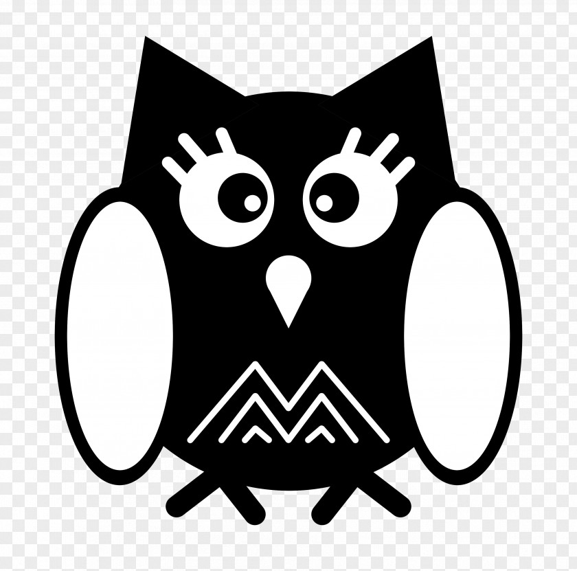 Cat Owl Clip Art Beak Product PNG