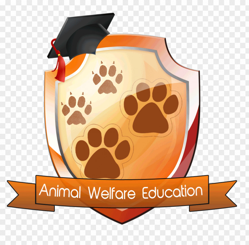 Dog Street Animal Welfare Pet Education PNG