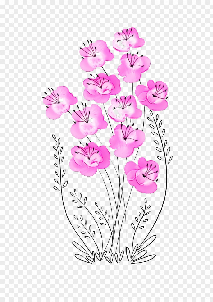 Flower Plant Pink Cut Flowers Moth Orchid PNG