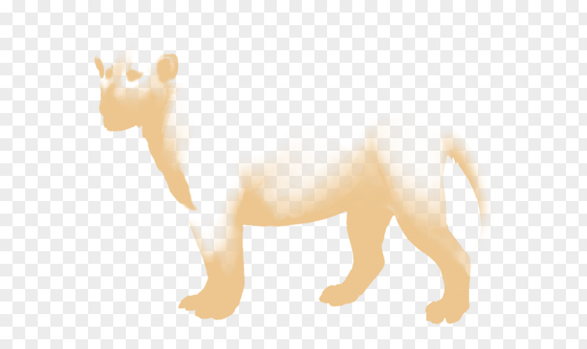 Lion Dog Cat Snout Mammal PNG