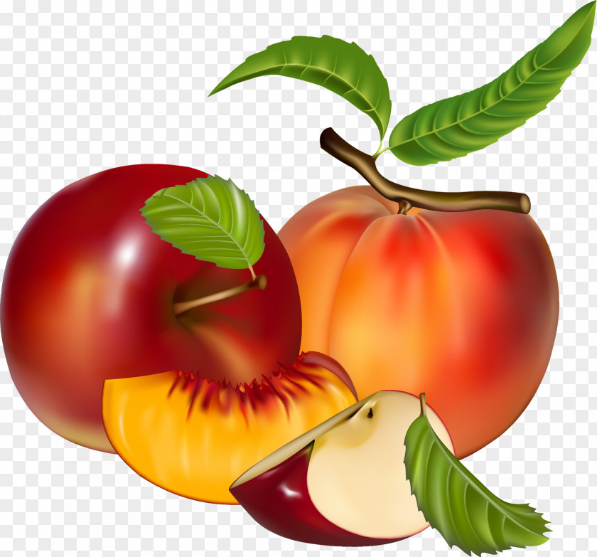 Mcintosh Leaf Natural Foods Fruit Plant Food Apple PNG