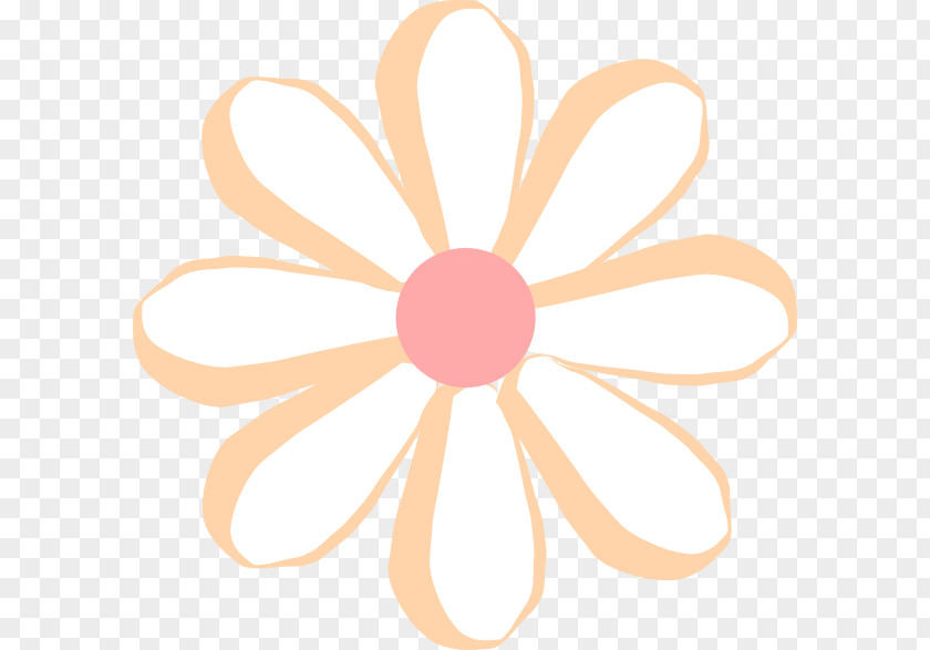 X Ray Flower Clip Art PNG