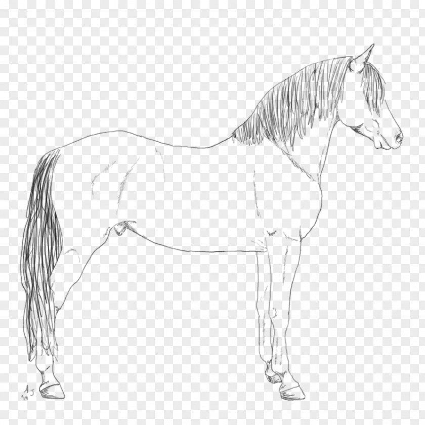 Horse Standing Pony Line Art Sketch PNG