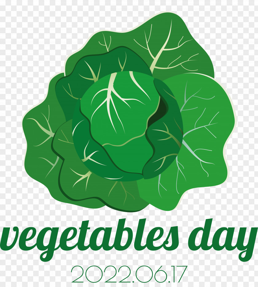 Leaf Leaf Vegetable Vegetable Logo Font PNG