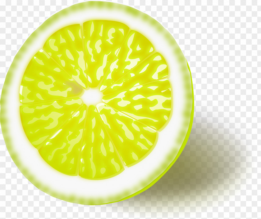 Lemon Citron Clip Art PNG
