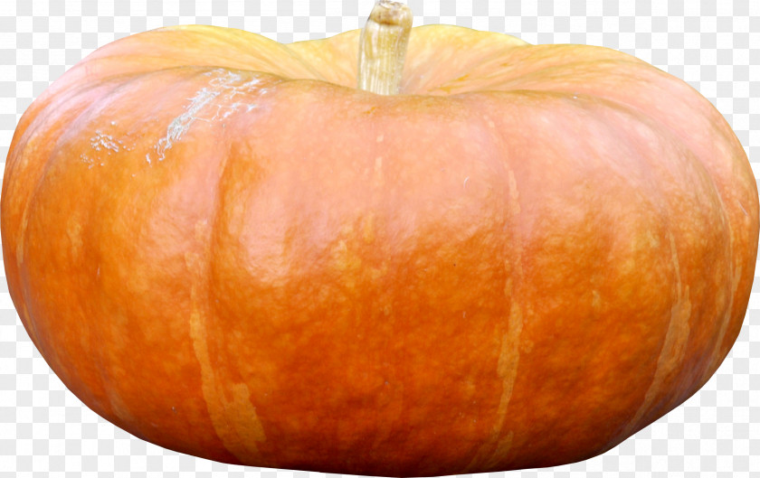 Pumpkin Cucurbita Gourd Vegetable Winter Squash PNG