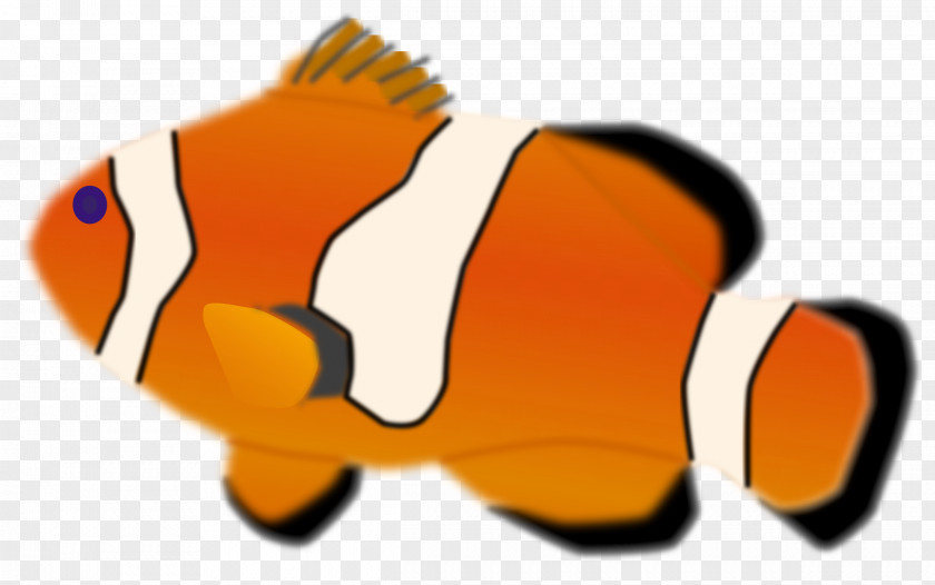 Big Clownfish Desktop Wallpaper Clip Art PNG
