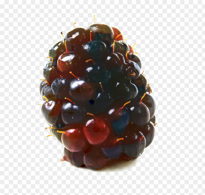 Blackberry Marionberry Berries Food Boysenberry PNG