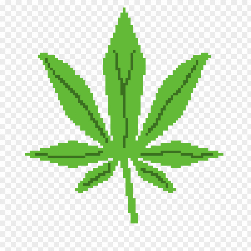 Cannabis Sativa Vector Graphics Blunt Illustration PNG