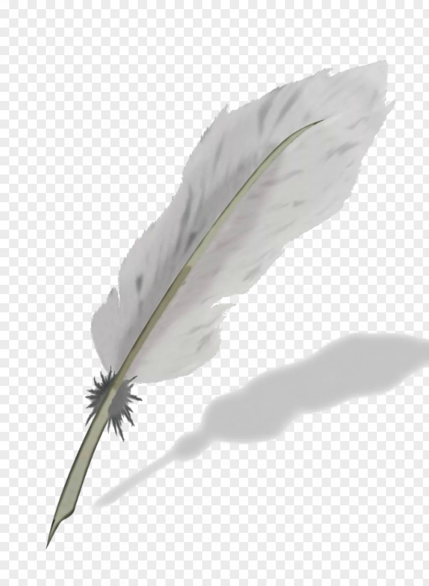 Feather Quill Nib Ballpoint Pen PNG