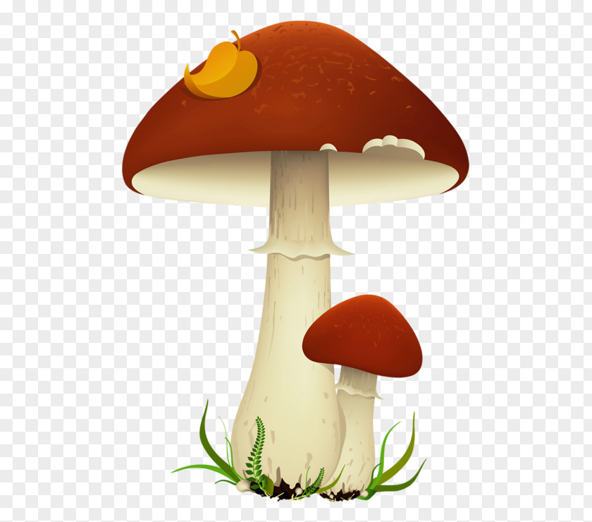 Lamp Bolete Mushroom Cloud PNG