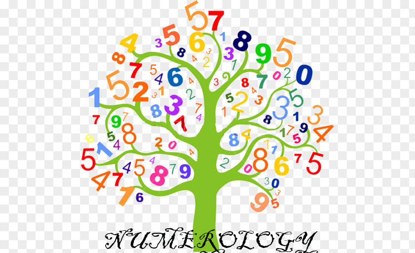 Mathematics Stock Photography Number Illustration Tree PNG