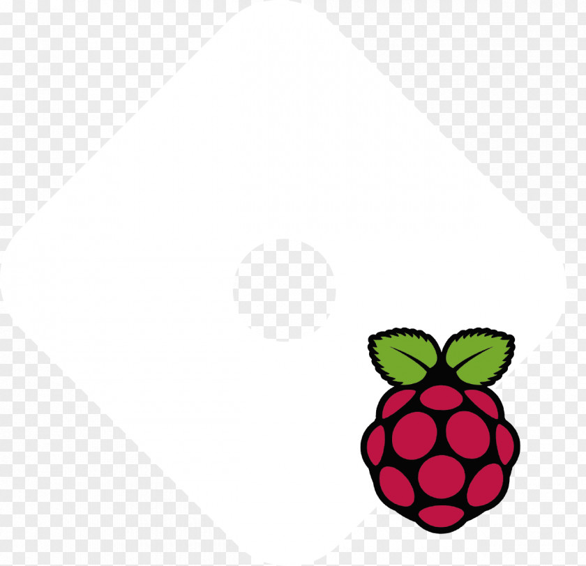 Raspberry Pi Node.js JavaScript Arduino Elektor PNG