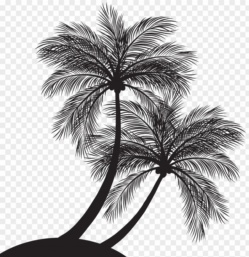 Silhouette Palm Trees Clip Art Image Vector Graphics PNG