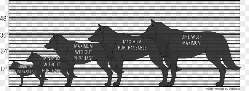 Size Chart Gray Wolf Mane Alsatian Shepalute Dire Stallion PNG