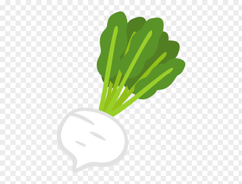 Turnip Leaf Vegetable PNG