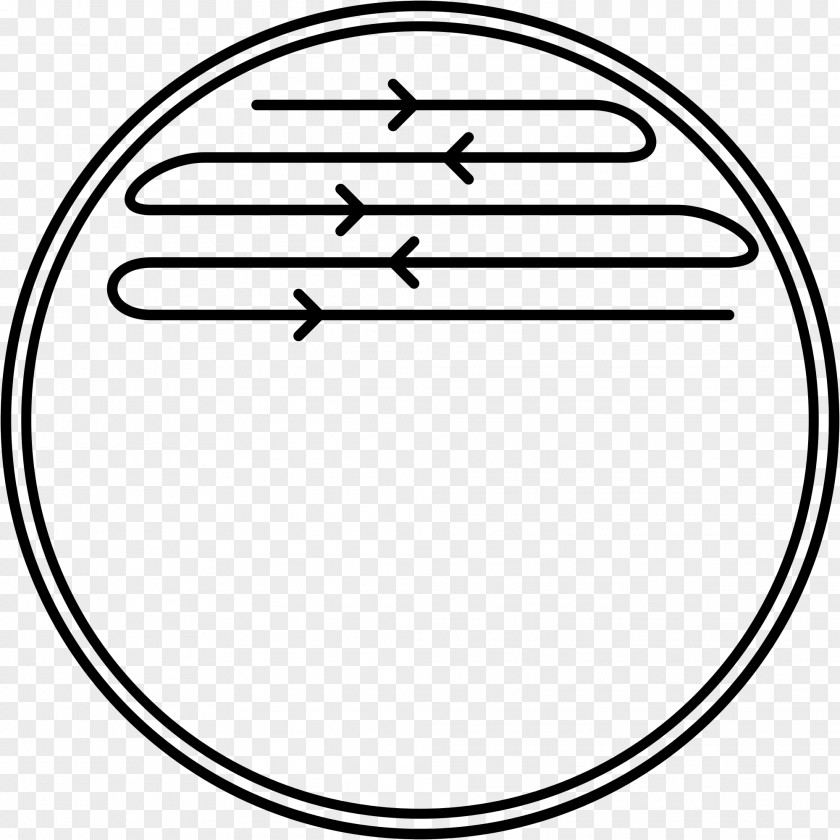 A Plate Posiew Petri Dishes Microbiology Clip Art PNG