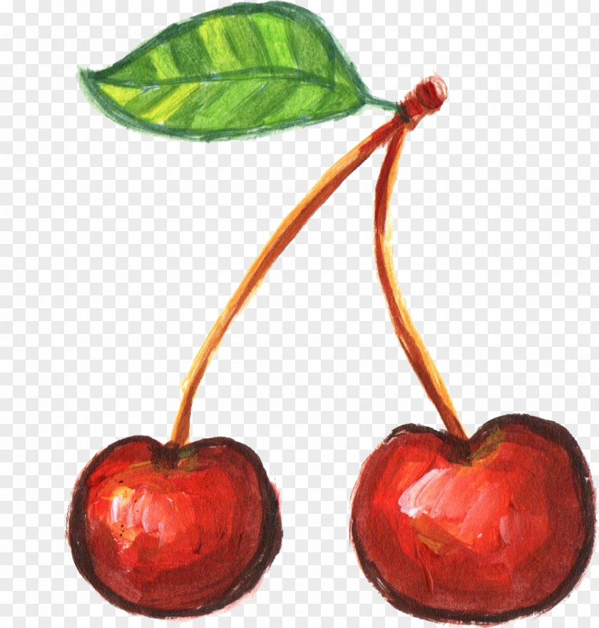 Cherry Fruit Food PNG